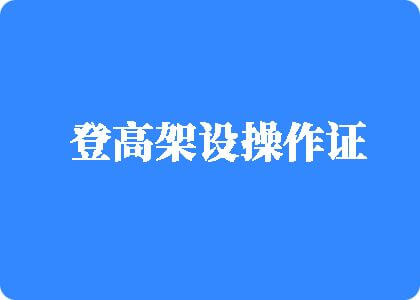 大吊操逼视频免费观看登高架设操作证